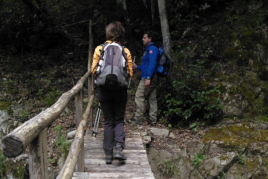 Tour image 2