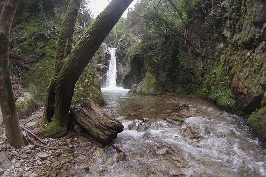 Tour image 5