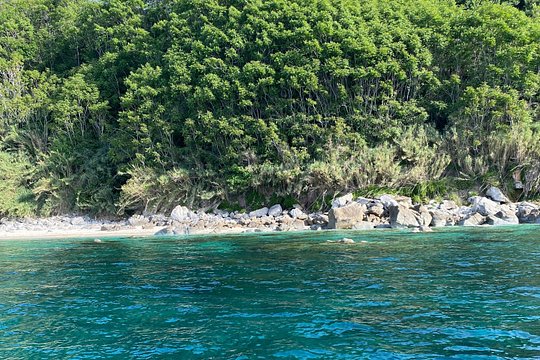 Tour image 10